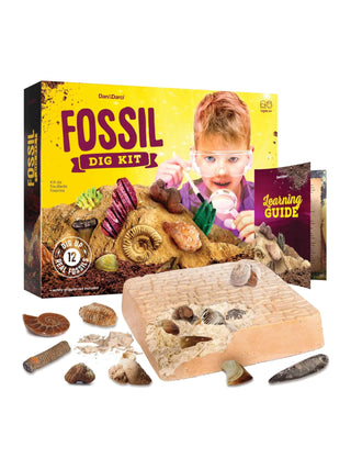 Fossil Dig Kit