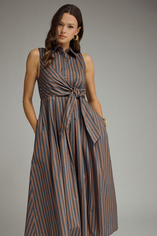 Margot Stripe Navy Brown Dress