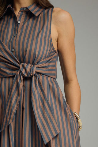 Margot Stripe Navy Brown Dress